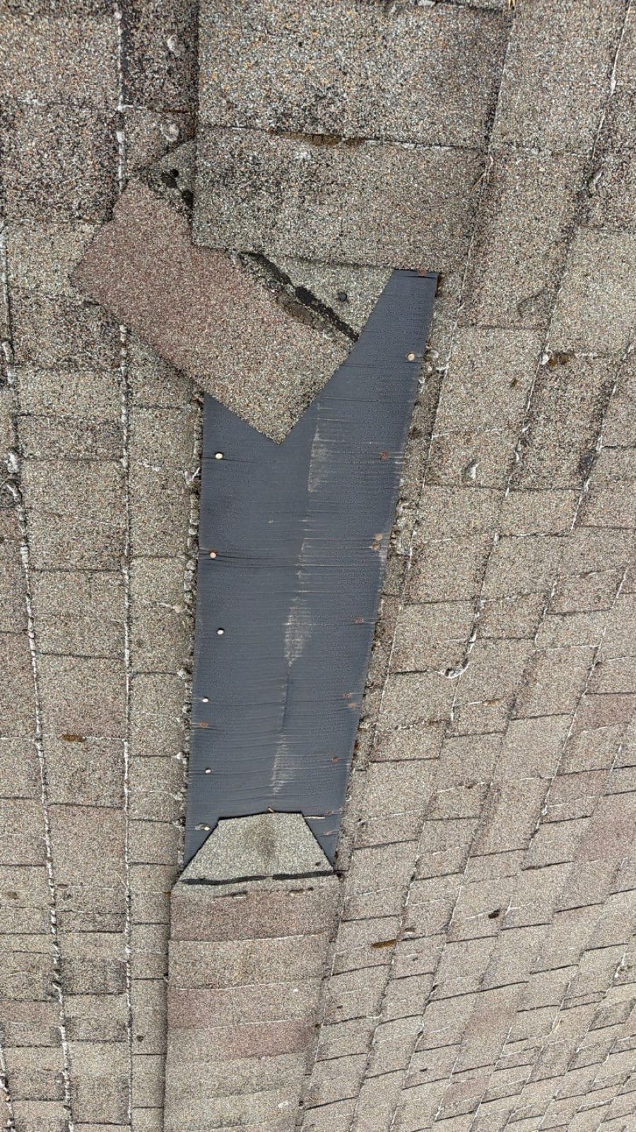 Section where shingles were cut back, leaving the membrane and nails exposed