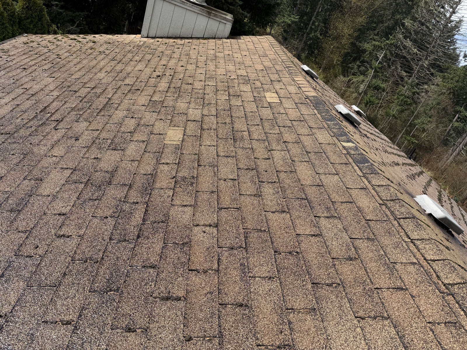 Old tan 3-tab roof with bald patches, moss along the ridge and a white chimney chase, shot from the roof
