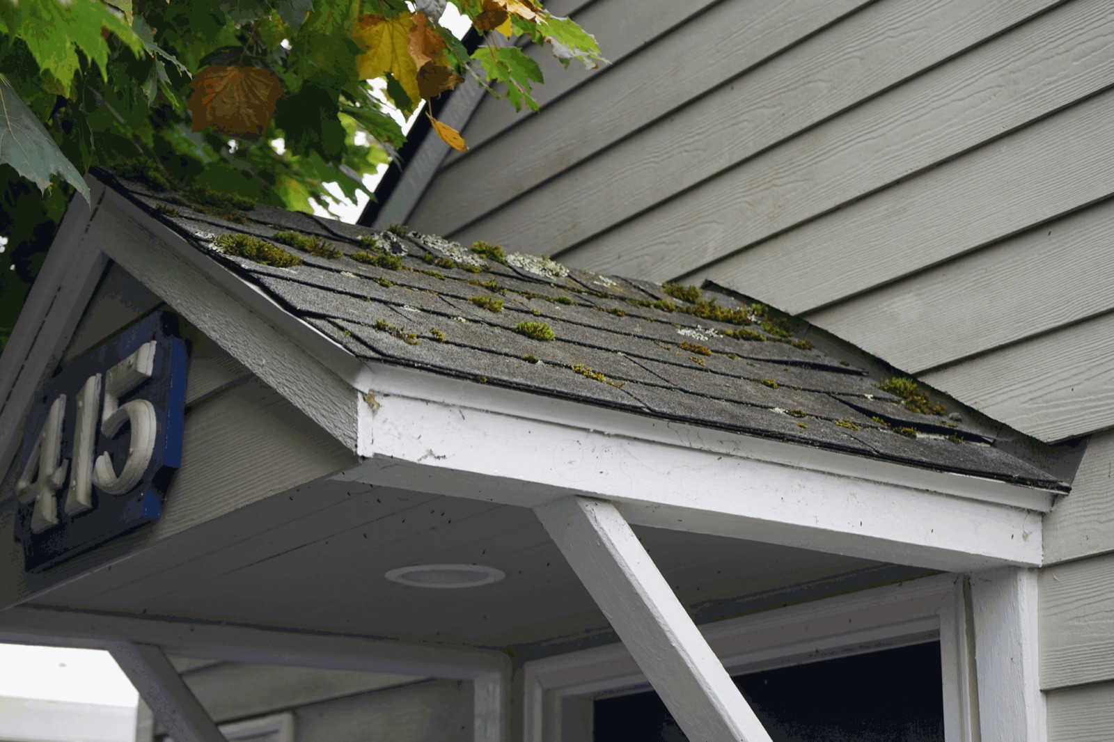 Small gable roof over a front door, old gray 3-tab shingles covered in moss and lichen, house number 415